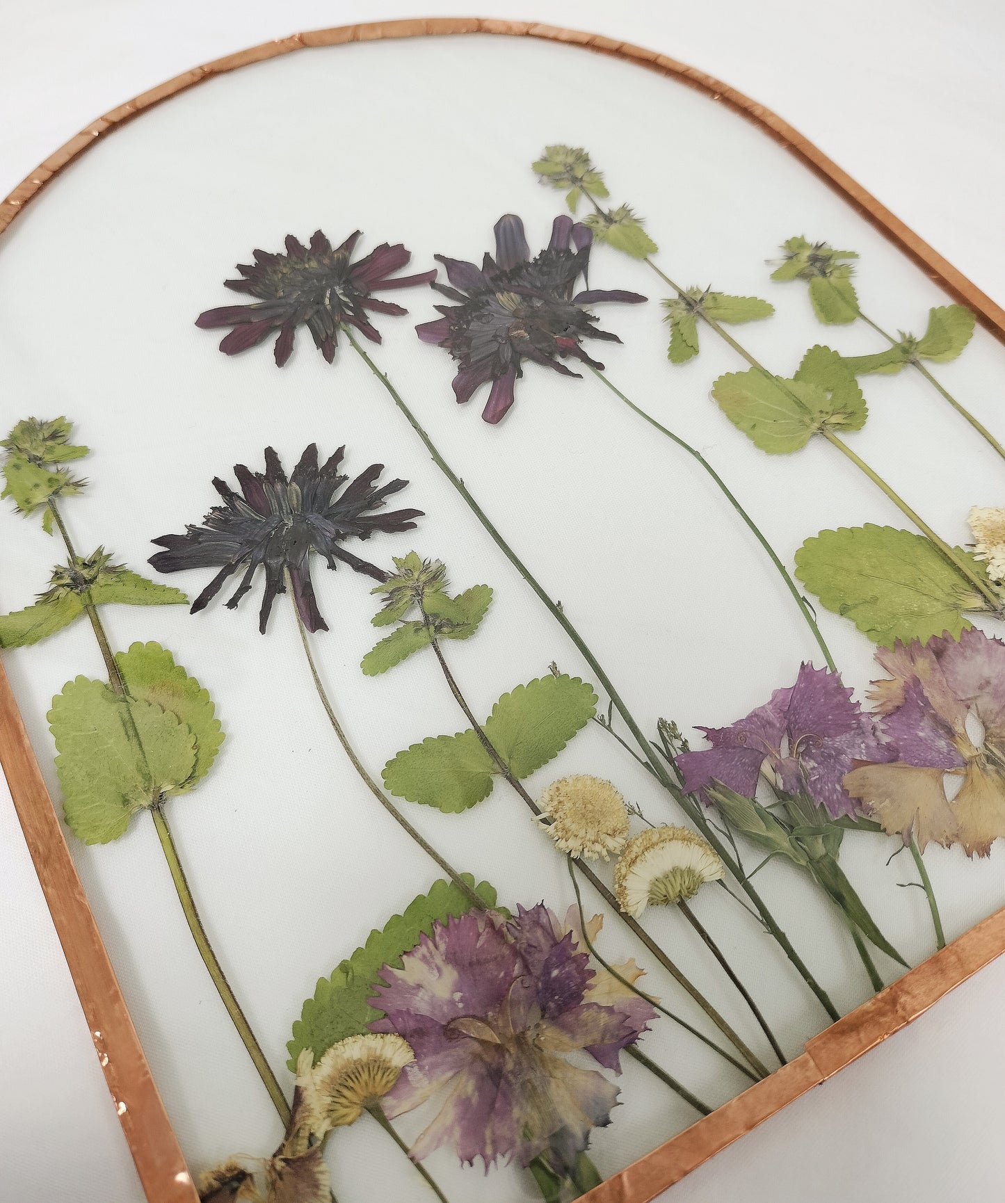floral frame | ivy