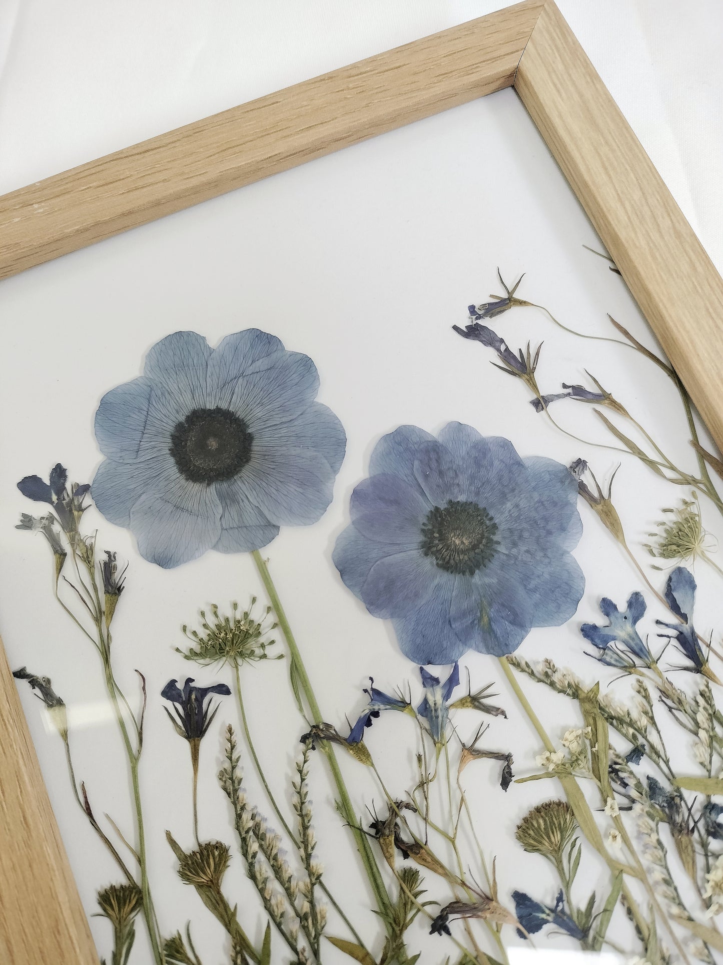 floral frame | blue anemone - ORIGINAL