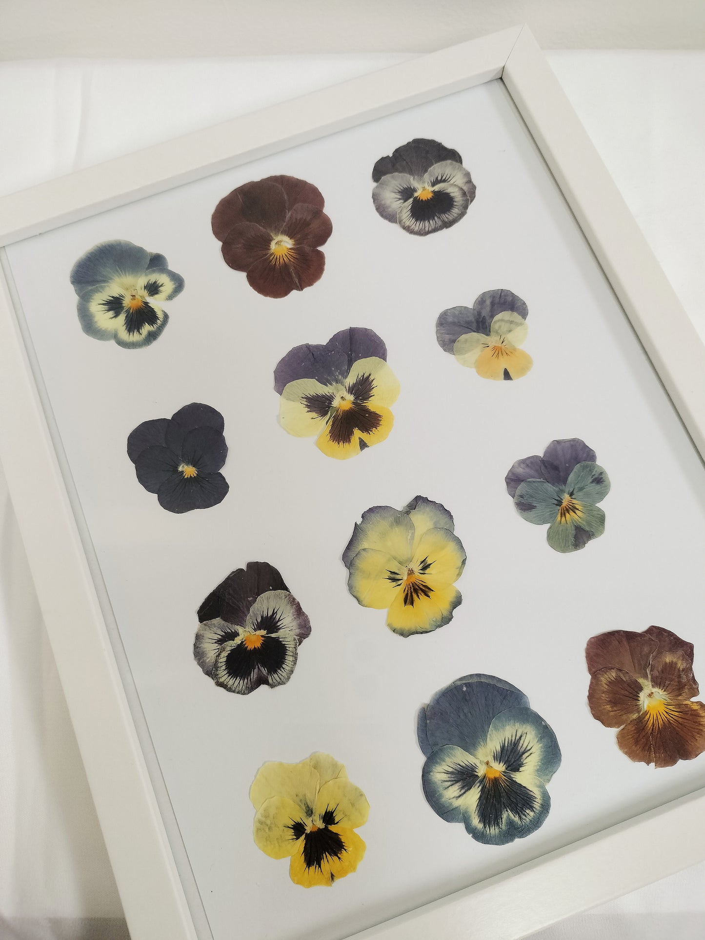 floral frame | pansy love - ORIGINAL